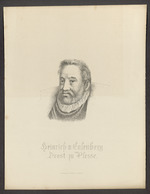 Heinrich von Calenberg, Drost zu Plesse
